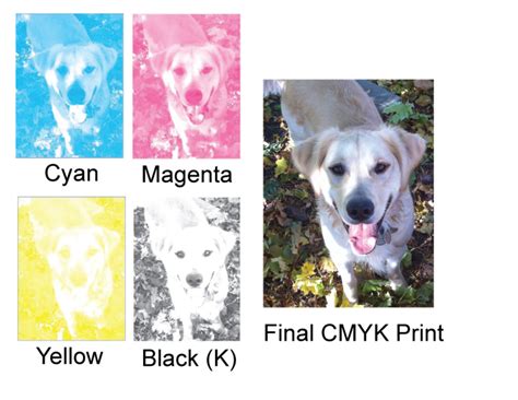 hexa 988 login  The process color (four color CMYK) of #ff988a color hex is 0