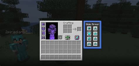 hide armor minecraft bedrock Armor Removes all armor that is worse than an existing one