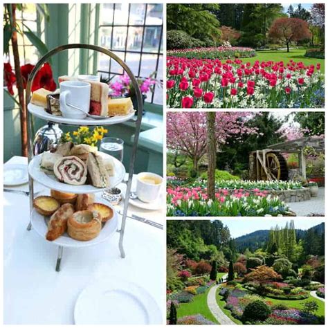 high tea at butchart gardens  Reserve your time to visit at Please