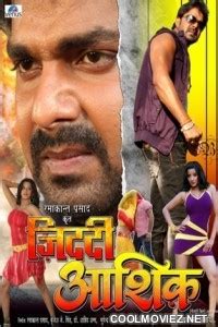 hindi bhojpuri film S