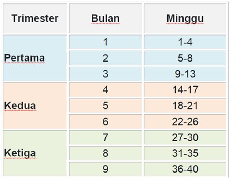 hitungan hamil 7 bulan berapa minggu Trimester pertama adalah minggu 1 – 13 usia kandungan