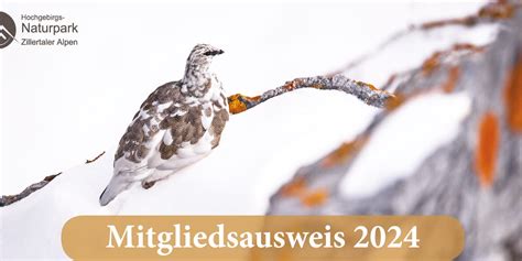 hochgebirgsweide 4 buchstaben Suchen sie nach: Wetterschutz 11 Buchstaben Lösung Kreuzworträtsel Lösungen und Antworten werden sie bei dieser Seite finden