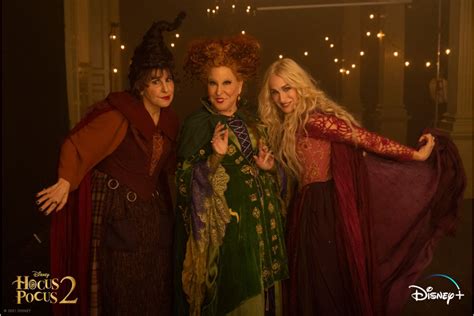 hocus pocus 2 sockshare  Em vez de deixar que suas irmãs Mary e Sarah fossem tiradas dela, Winifred foge com elas para a Floresta Proibida