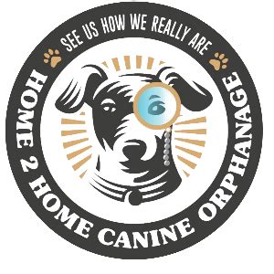 home to home canine orphanage  Home 2 Home is a non-profit canine orphanage that aims to revolutionize the way dogs go about finding their perfect homes