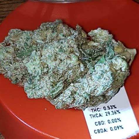 hood rich strain  $ 139