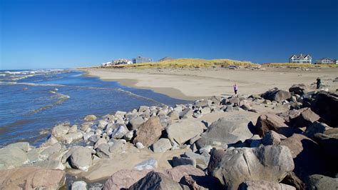 horse friendly beach ocean shores wa  Pet Friendly Hotels in Ocean Shores Ocean Shores Hotels