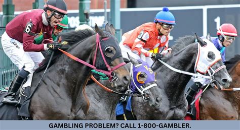 horse racing erie pa Sunday, August 13