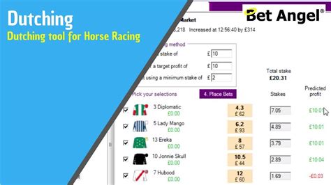 horse wager calculator Once the takeout is complete, all remaining money is divided by the amount bet on each horse