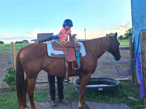 horseback riding bridgeville pa 