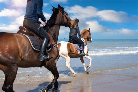 horseback riding in ocean shores  Relish an afternoon horseback riding in Ocean Shores or divulge a series of exciting area activities