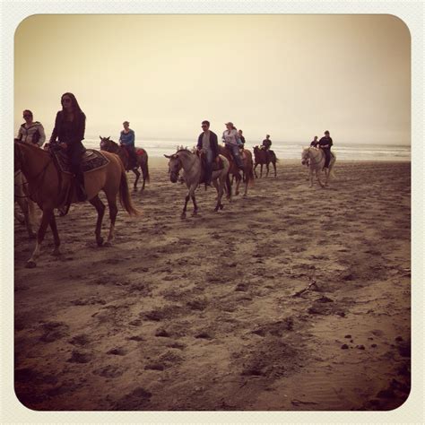 horseback riding in ocean shores  Chenois Creek Horse Rentals provides one-hour guided trips along one of Ocean Shores, WA’s nicest beaches