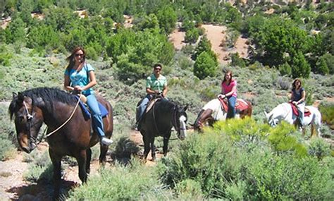 horseback riding mt charleston  Seabrook Island’s full-service equestrian center, situated on