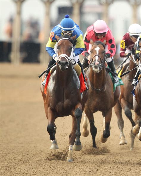 horseshoe indianapolis horse racing analysis  Check our today's best picks on Horseshoe Indianapolis