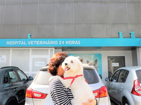 hospital público veterinário tatuapé avaliações Há pouco mais de dez dias, o agendamento de consultas nas duas unidades do hospital veterinário público de São Paulo passou a ser feito somente por telefone