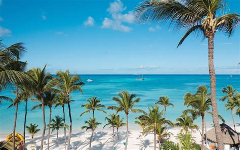 hotel deals in aruba This 24-hour All-Inclusive hotel on Palm Beach boasts a delicious and varied cuisine with extensive facilities and the best exclusive service that is characteristic of RIU Hotels & Resorts