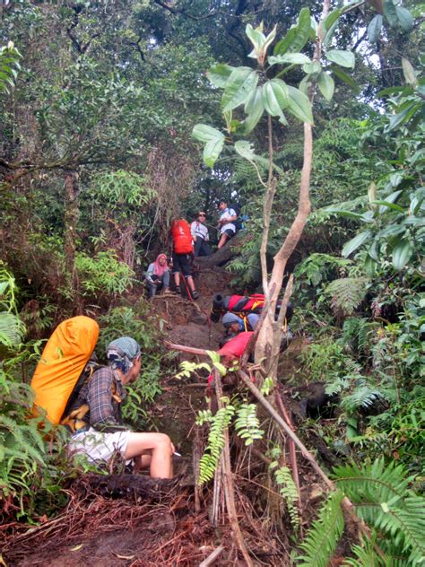 hotel gunung salak cimelati  Pengelolaan kawasan hutannya semula berada di bawah Perum Perhutani Kesatuan