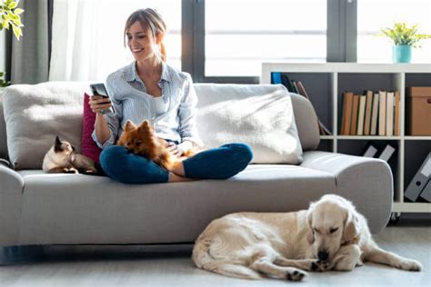 house sitter melbourne long term  Dog Sitting is often better for your dogs than kennels or dog boarding, providing loving in-home care, full house security—and true peace of mind while you’re away
