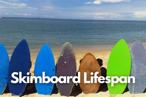 how long do skimboards last  The amount of calories in the single “sensible” meal you eat for the day depends on your liking