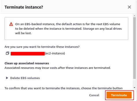 how to delete terminated ec2 instance Business, Economics, and Finance