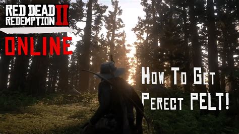 how to dupe pelts rdr2 online How to get a Perfect Pelt everytime