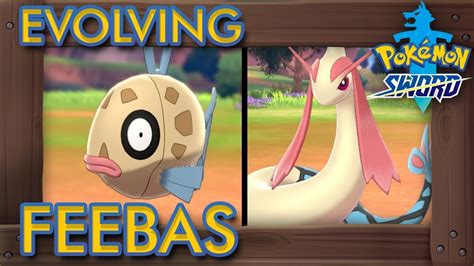 how to evolve feebas in pokemon infinite fusion To evolve Feebas into Milotic, you must trade it while it’s holding a Prism Scale