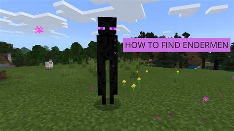 how to find endermen minecraft You can obtain an Enderman head by killing Endermen