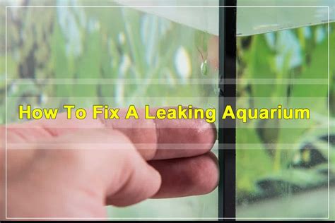 how to fix a leaking aquarium without draining  Drain Section