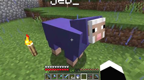 how to get a rainbow sheep in minecraft  Dyes don't have any effect on the rainbow animation; dyes only effect the wool the sheep drops
