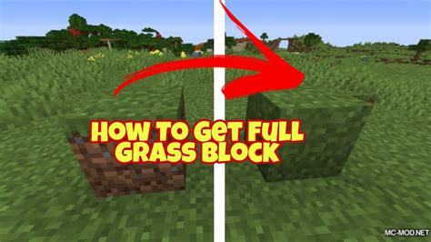 how to get full grass blocks in minecraft bedrock png (grass_top must be in same B&W like on side) Hope I helped you 