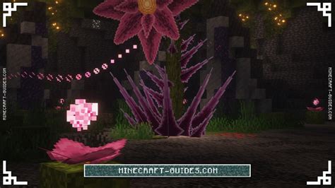 how to kill void blossom minecraft Quark is a mod for Minecraft Java Edition, aiming to enhance the base game, using a very simple motto: Anything added to Quark could also be added to the default game without compromising its gameplay style