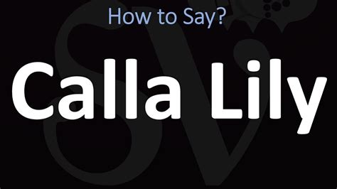 how to pronounce calla lily This page is made for those who don’t know how to pronounce Calla-lily in English