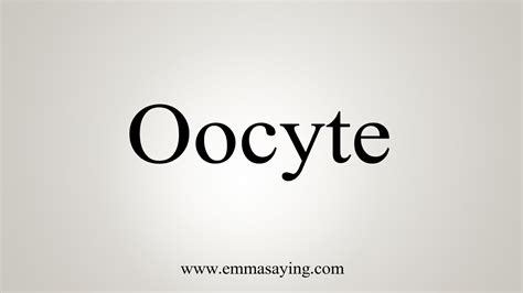 how to pronounce oocyte  found comparable live birth rates (fresh, 38