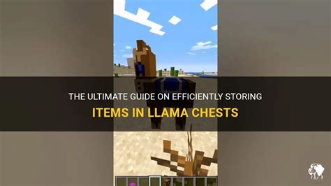 how to put chest on llama 5 – 10 seconds (depending on their tier) within a 10-meter radius