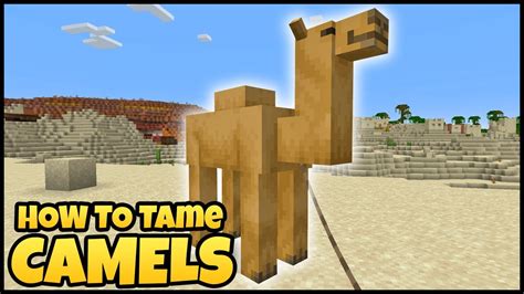 how to tame a camel in minecraft  Neutral Mobs