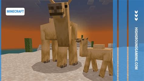 how to tame and breed animals in minecraft  However, baby foxes will follow their parents rather than you