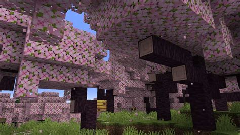 how to teleport to cherry blossom biome How to locate biome command on mcpelocate biomemojang