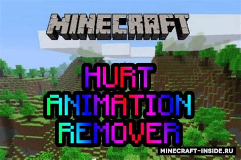 hurt animation remover 1.16.5 19