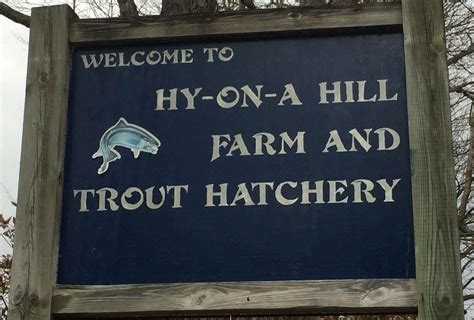 hy on a hill trout farm  Trout Unlimited Inc