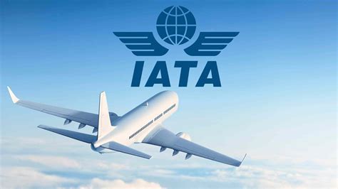iata or ta # mgm  VIEW BY DATE SEARCH VIEW ALL