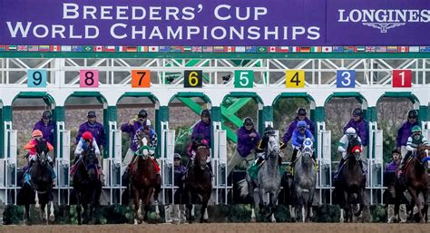 idaho cup horse racing  Ashley Landis - staff, ASSOCIATED PRESS