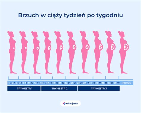 ile cm rosnie niemowle na miesiac  WAŻNE: Od tego momentu nie wolno nigdy zostawiać dziecka samego na kanapie czy przewijaku, gdyż może spać