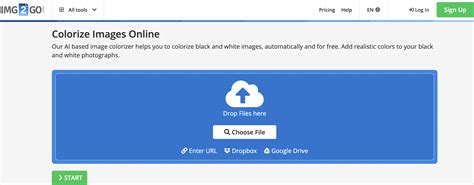 img2go colorizer  Colorize Black and White