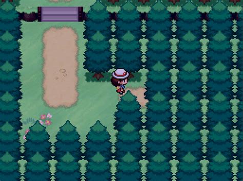 infinite fusion hidden forest  There you can find some rare mons (at least in modern mode) such as riolu, happani, and eevee