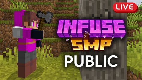 infuse smp ip bedrock edition  Complex Gaming: bee