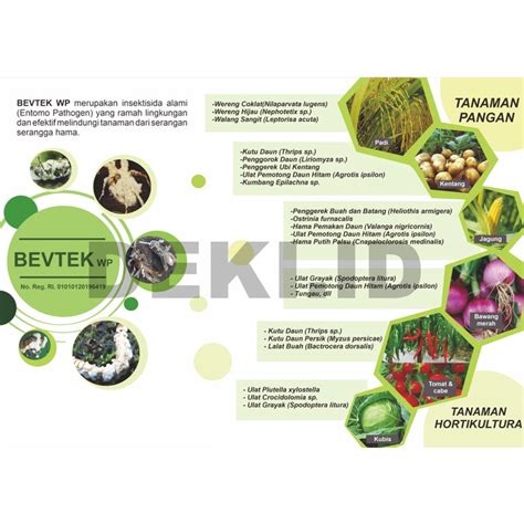 insektisida organik Neem Oil Pestisida Insektisida Organik 450ml