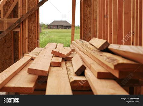 inspect the lumber pile beside your house.  Firewood should be covered to keep out moisture