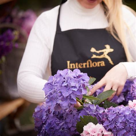 interflora abroad Interflora did refund but failed to show any empathy