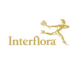 interflora desktop site com