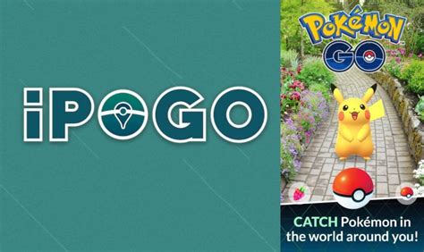 ipogo auto catch not working  Virtual location is an additional service and requires additional payment