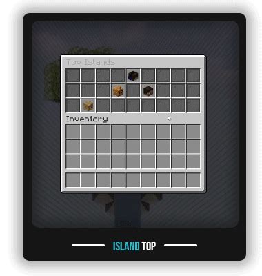 iridium skyblock placeholders exp